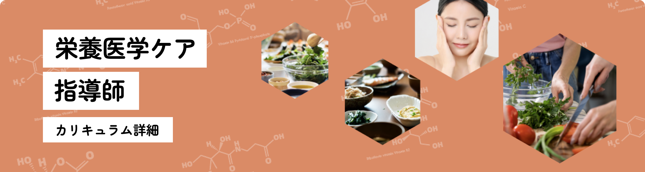 カリキュラムヘッダー