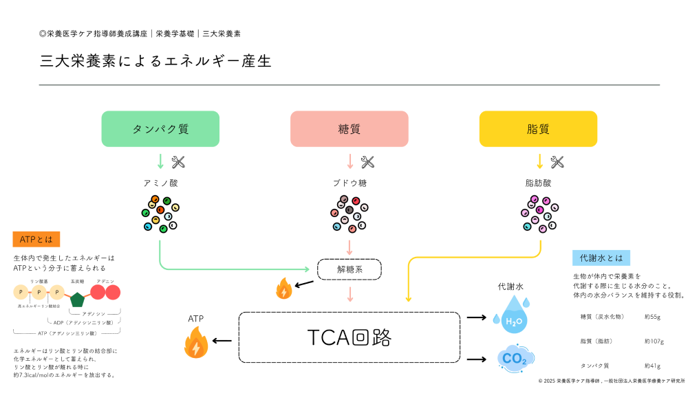 講義資料の一部を公開