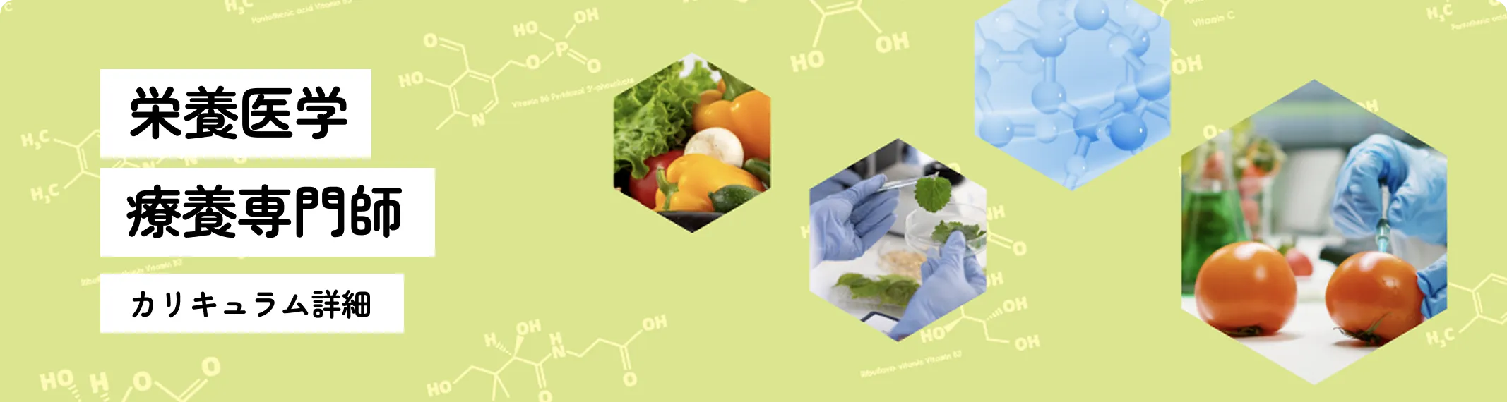 カリキュラムヘッダー