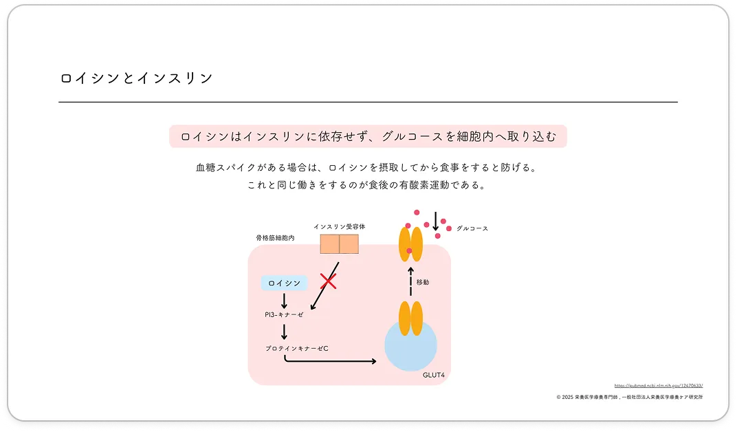 講義資料の一部を公開