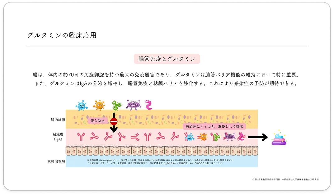 講義資料の一部を公開